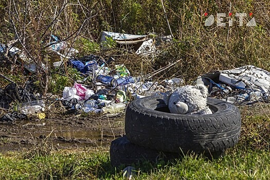 Прокуратура заинтересовалась пожаром на мусорном полигоне в Приморье