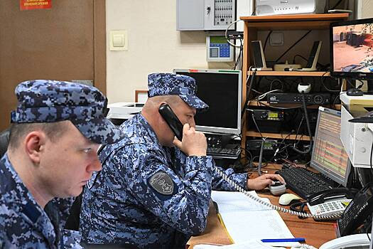 Россиянин со знакомой избили собаку своей сожительницы