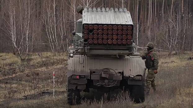 Российские военные освободили населенные пункты Терны и Нескучное в ДНР