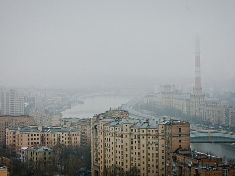 Синоптик Тишковец: снежный покров растаял почти во всем Московском регионе