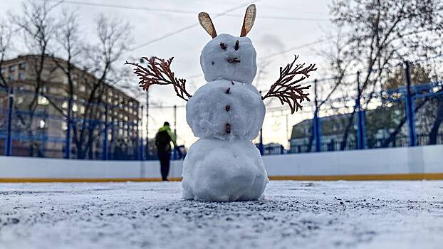 Синоптики спрогнозировали мокрый снег и гололедицу в Москве 18 января