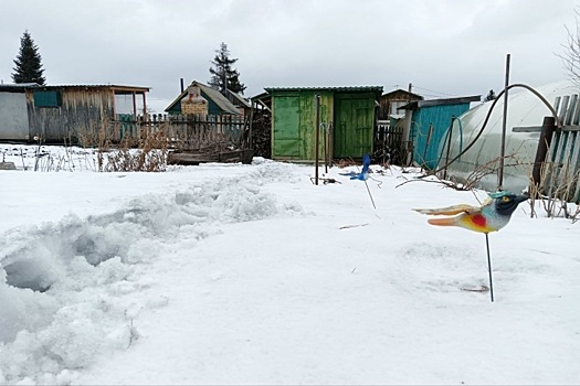 Сорванные ветром крыши подсчитали в Новосибирске