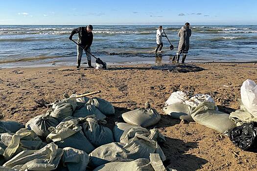 В Кремле высказались о безопасности купания в Черном море после ЧП с мазутом