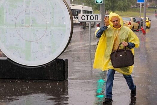 В Москве январь завершится апрельской погодой