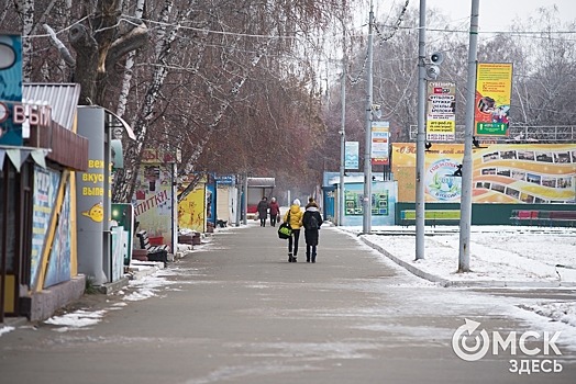 В омском парке заметили редкую птицу