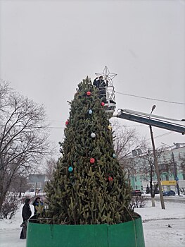 В Оренбурге разбирают новогодние елки