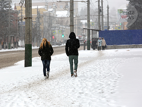 В Пензенской области ожидаются порывы ветра до 20 метров в секунду и сильный снег