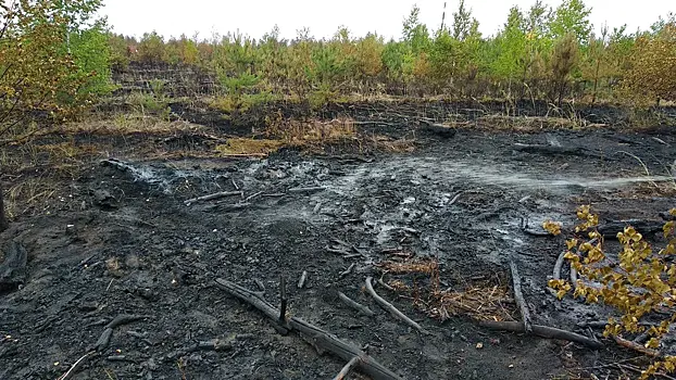 В Рязани случился необычный зимний пожар