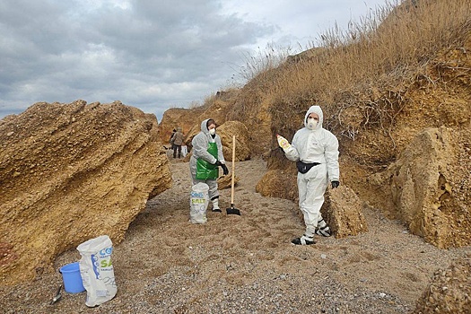 В Севастополе за два дня собрали свыше 110 тонн загрязненного грунта