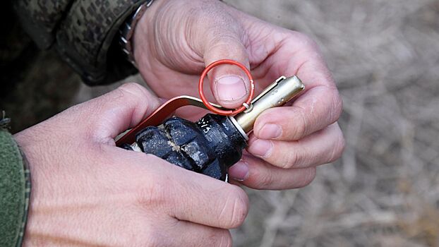 Военнослужащего с гранатой поймали в московском аэропорту