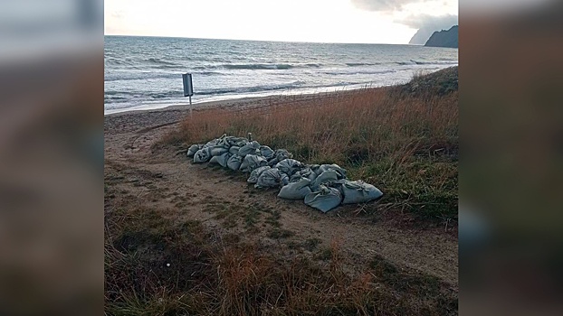 Восемь новых выбросов мазута обнаружено на побережье Крыма