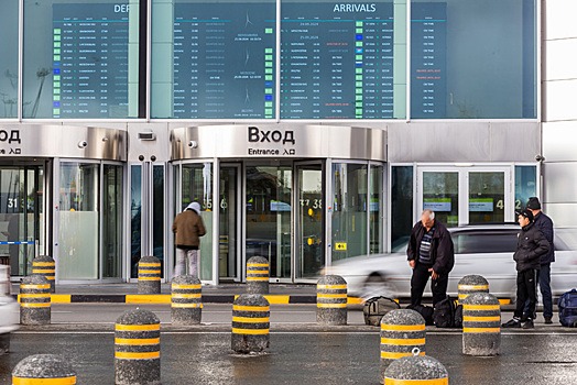 Бибу и Бобу задержали при штурме самолета в аэропорту Толмачево