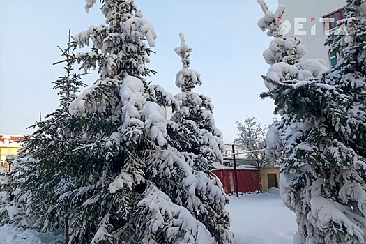 Холодный и снежный вторник ждет Приморье