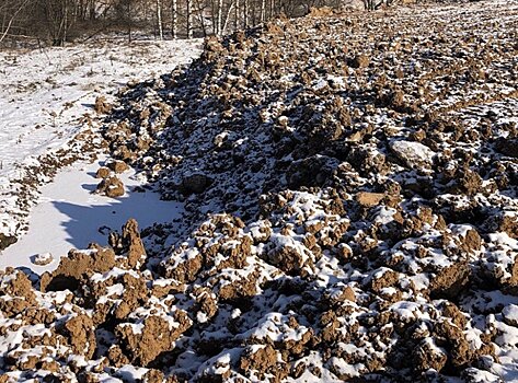 Из-за незаконной мусорки жители Истры едва не лишились электричества