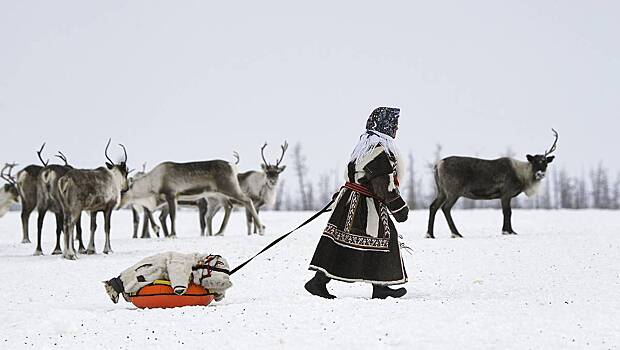 Малооблачная погода и до 6 градусов мороза ожидаются в столичном регионе 25 февраля