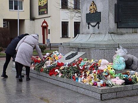 Мать убитого отчимом мальчика арестована в Калининграде