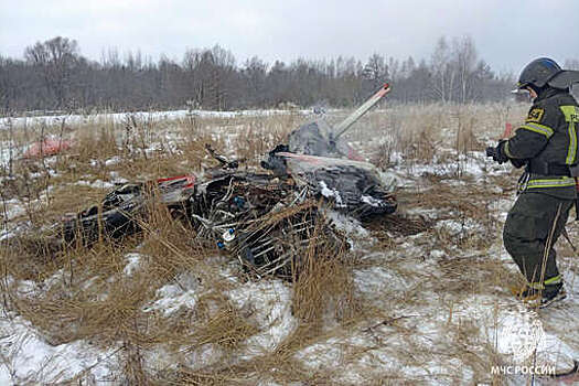 МЧС опубликовало кадры с места крушения самолета в Нижегородской области