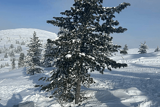 На горнолыжной трассе в Красноярском крае погибла девочка