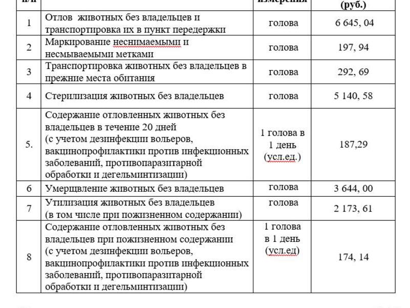 На отлов бездомных собак потратят более 40 миллионов рублей2