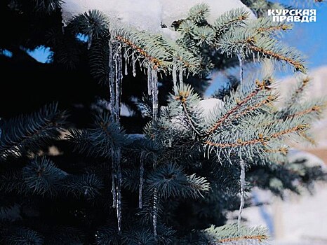 Ночью 27 февраля в Курской области ожидается -23℃