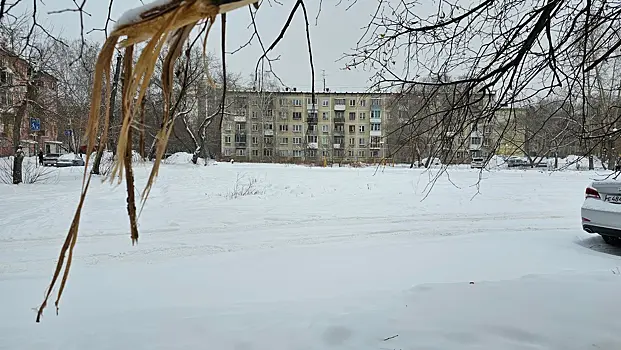 Новосибирцев пригласили на публичные слушания по поводу сквера на ул. Линейной