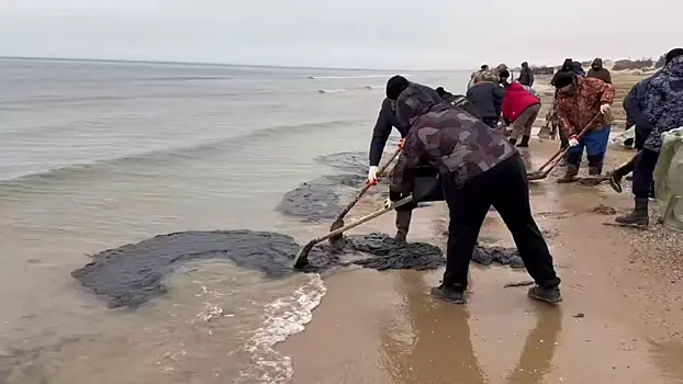 Новые выбросы мазута произошли на Кубани, в Крыму и Севастополе