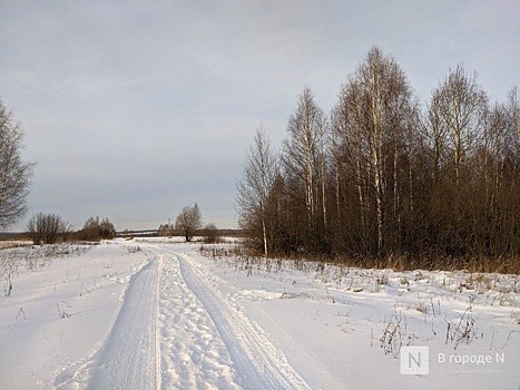 Опубликован прогноз погоды на последнюю неделю зимы в Нижнем Новгороде