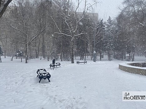 Оренбуржье накрыла метель