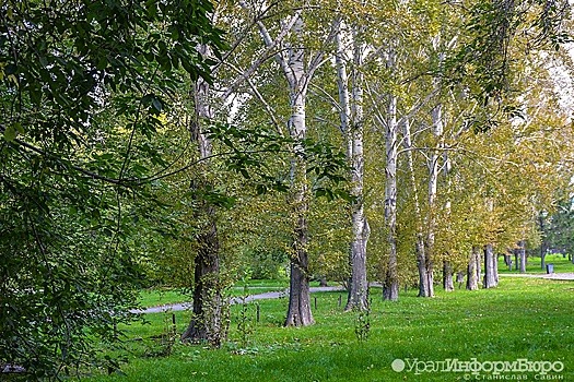 Открыта онлайн-регистрация на "Майскую прогулку"