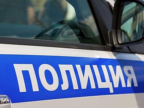 Полиция проверяет данные о похищении школьницы в Тюменской области