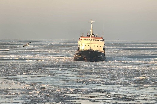 Прокуратура изучит обстоятельства ЧП с судами в Азовском море