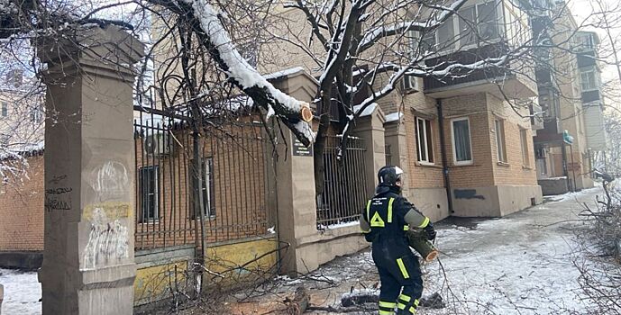 Ростовские спасатели убрали с улиц города 107 поваленных деревьев