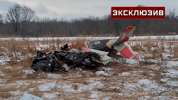 Самолет под Нижним Новгородом мог рухнуть после захода на второй круг