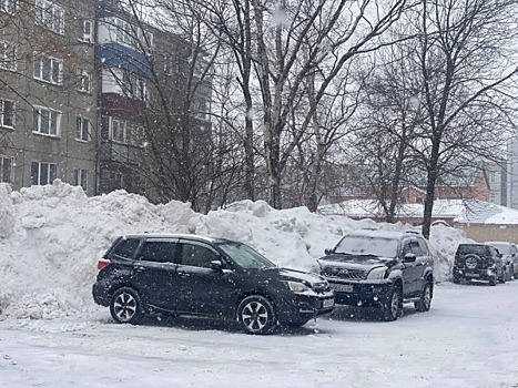 Снежный циклон ударит по Приморью в неподходящее время: дата