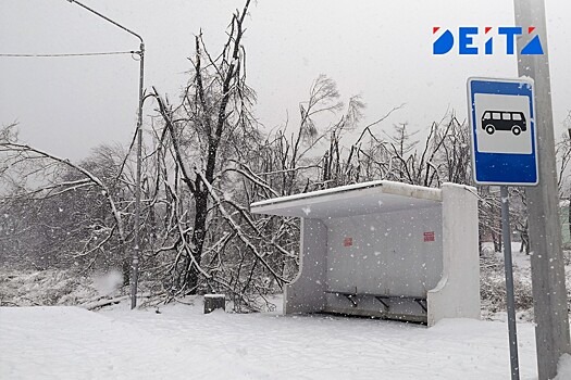 Тёплая суббота и снежное воскресенье ожидаются в Приморье