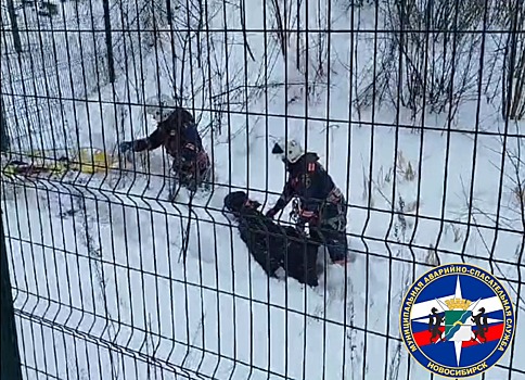 Упавший с забора сибиряк несколько часов пролежал в заметенном снегом овраге