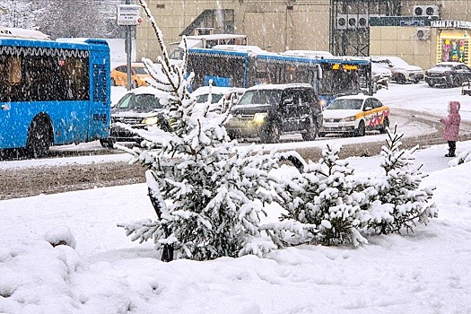 В конце февраля в Москву придут морозы