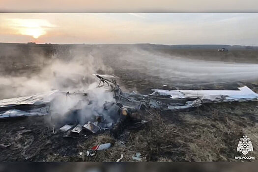 В МЧС прокомментировали падение самолета в Подмосковье