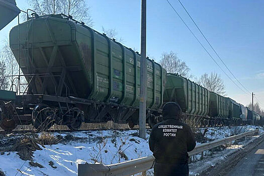 В Московской области два порожних вагона сошли с рельсов