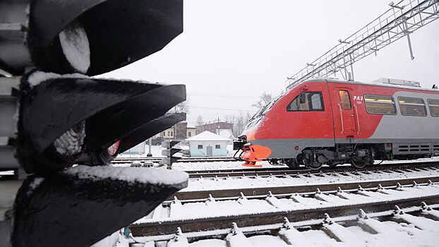 В Нижегородской области пресекли диверсию на железной дороге