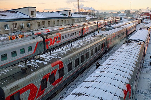 В Подмосковье подростка-зацепера ударило током на крыше поезда