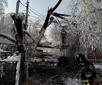 В Ростове после снегопада убрали 84 поваленных дерева