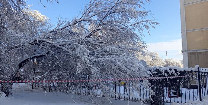 В Ростове продолжают устранять последствия снегопада