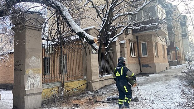 В Ростове спасатели ликвидировали 107 поваленных деревьев