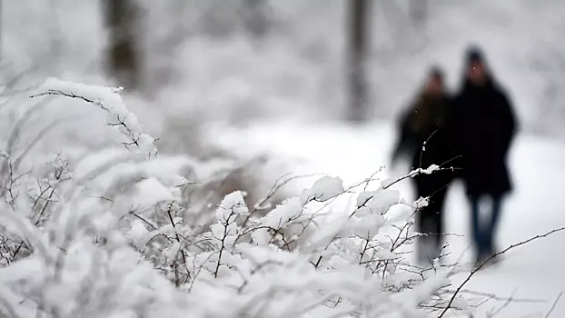 В шести регионах России ожидается опасная погода