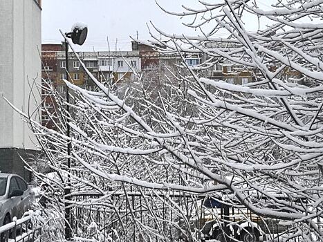 В Тюмени ожидается резкое потепление до 0 градусов