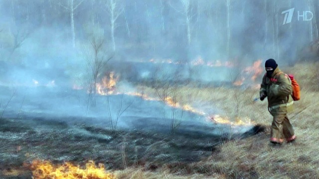 Арест главы Гослеслужбы Забайкалья не связан с пожарами в крае