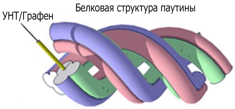 Бионическая паутина: арахнид научили плести нити из нанотрубок