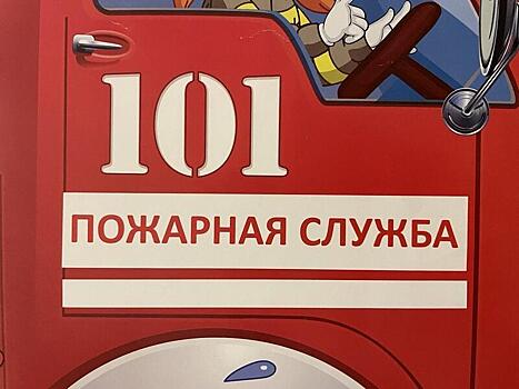 Десять пожаров с пострадавшими произошло в Свердловской области за сутки