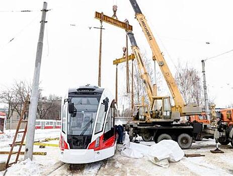 Количество "Львят" в Самаре увеличится до 12